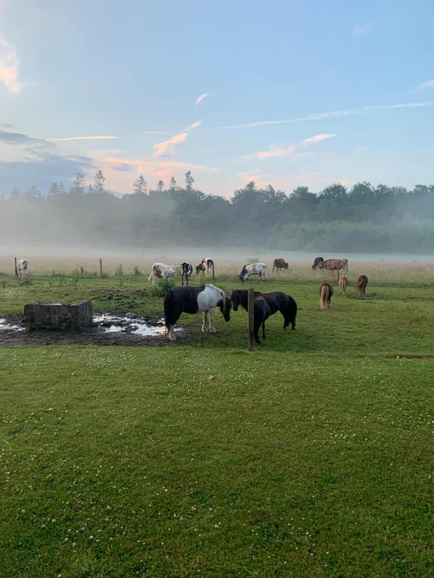 Holmsminde Panzió Viborg Kültér fotó